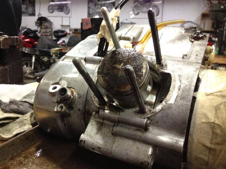 1461473_455557051215195_120255275_n