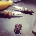 1780628_10202466311611164_1867523221_n