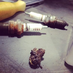 1780628_10202466311611164_1867523221_n